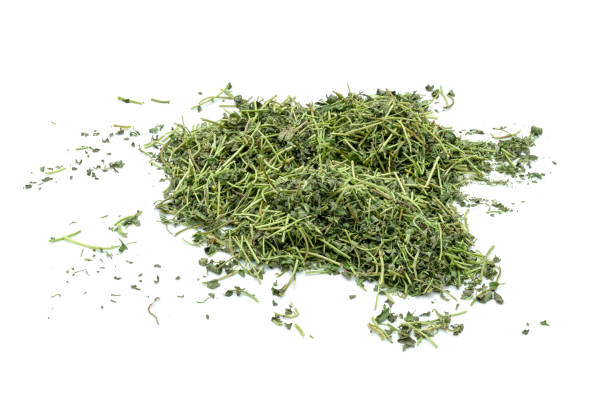 istock dry thyme or Lemon thyme leaf isolated on a white background 1560615807