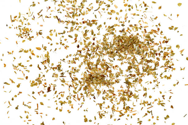 istock Oregano isolated on white background 1560626417