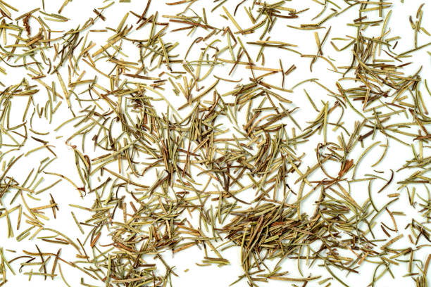 istock Dry rosemary pile isolated on white background 1560629175