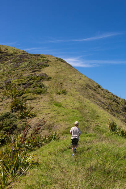 Young boy walking in the hills. stock photo