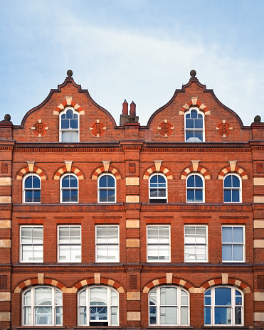 Amsterdam building facade covered with ivy, The Netherlands