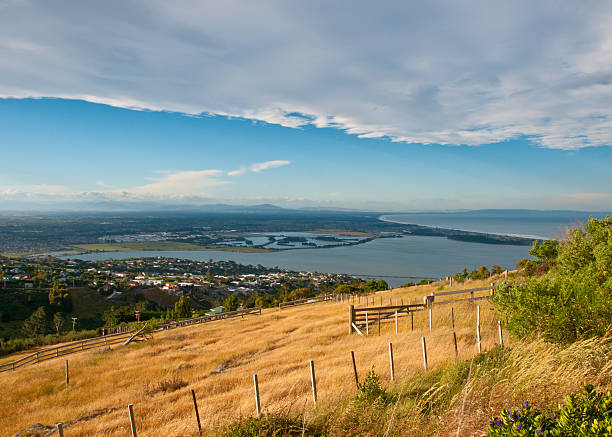 istock View over Christchurch 156063829