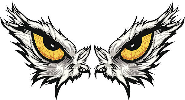 eagle eyes  vector illustration - hayvan gözü stock illustrations
