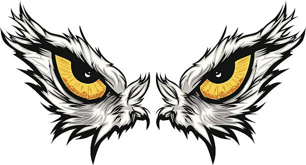 Vector illustration of Eagle Eyes  Vector Illustration