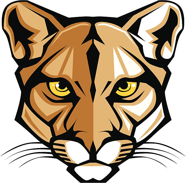 cougar panther-maskottchen kopf vektor-grafik - maskottchen stock-grafiken, -clipart, -cartoons und -symbole