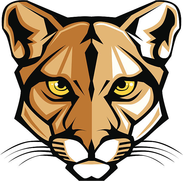 ilustraciones, imágenes clip art, dibujos animados e iconos de stock de cougar panther mascot de gráficos vectoriales - gato montés