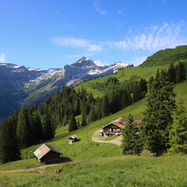 istock Green meadows in Topfelsberg and Mount Oldenhorn. 1560664171