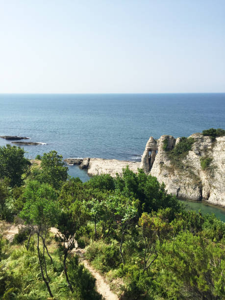 istock Bay of water and sky background 1560666224