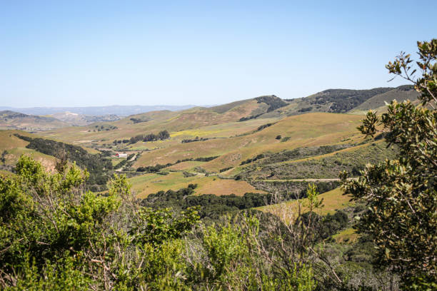 istock Rolling Landscape of Calfornia 1560701368