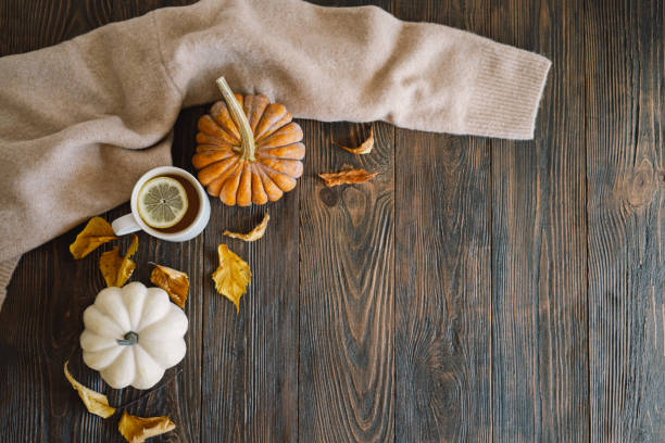 istock Flat lay of decorative pumpkins 1560704235