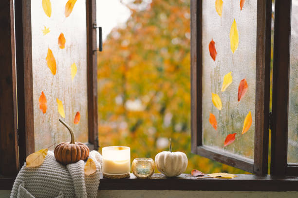 istock Sweater, candle, hot tea and autumn decor 1560708923