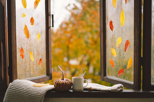 Sweater, hot tea and autumn decor.