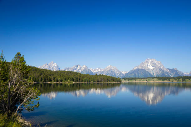 istock Grand Teton mountain range with pine forest and lake reflection in front 1560743640