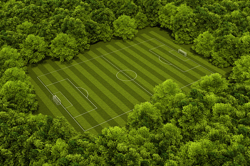 3d rendering of a soccer field in a forest
