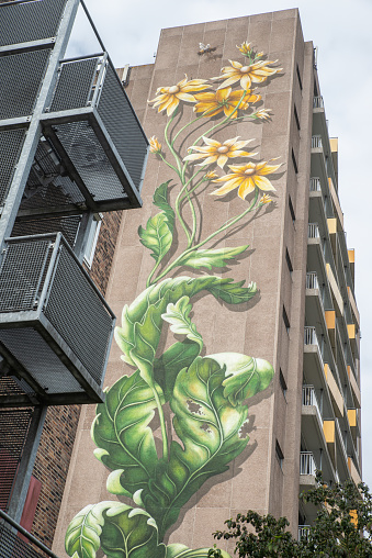Zwolle, the Netherlands - July 21st 2023: The blind wall of the Lelieflat was decorated with this beautifull mural by Lonneke Schildert in 2022.
