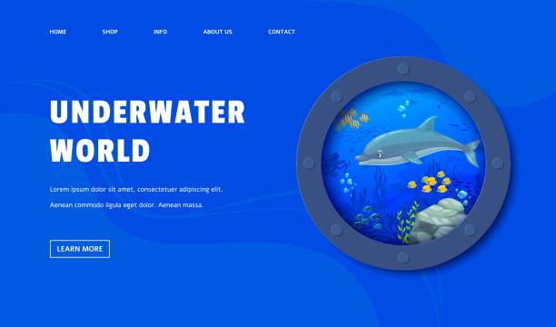 Landing page porthole with dolphin and underwater Landing page porthole with dolphin and underwater landscape invites the user to explore a marine adventure, showcasing the beauty of the ocean and the playfulness of the dolphins. Vector web banner underwater exploration stock illustrations