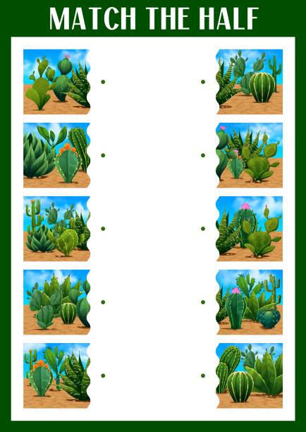 ilustraciones, imágenes clip art, dibujos animados e iconos de stock de igualar la mitad del suculento cactus espinoso mexicano - tuna chunks