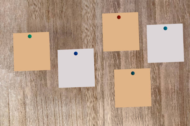 Moodboard template composition with blank photo cards,torn paper,square frame glued with adhesive tape on light paper background with floral overlay shadows as template.