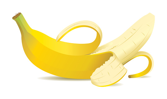 vector, banana fruit illustration, peeled banana illustration