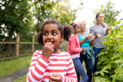 Waist-up shot of a young girl enjoying a fresh raspberry she has picked with her sister, grandmother and mother standing behind her. They are in the family garden enjoying time together.