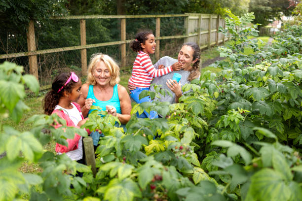 recoger fruta fresca juntos como familia - green thumb refrán en inglés fotografías e imágenes de stock