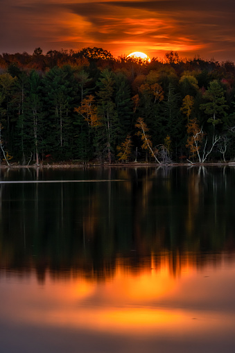 The moon rises over the autumn colored trees on the shore of a northwoods lake during the harvest season.