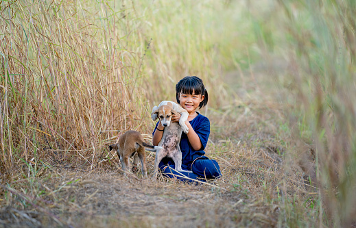 Little Asian girl hold baby dog and look at camera with smiling also stay on ground near rice field.