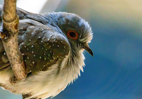 Birding and Hiking