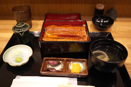 Edo-style Unaju（eel kabayaki / japanese food）