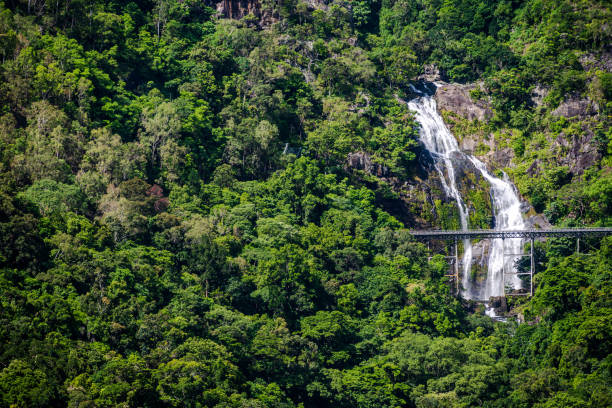 Photo of a waterfall and train trestle on the side of a mountain forest