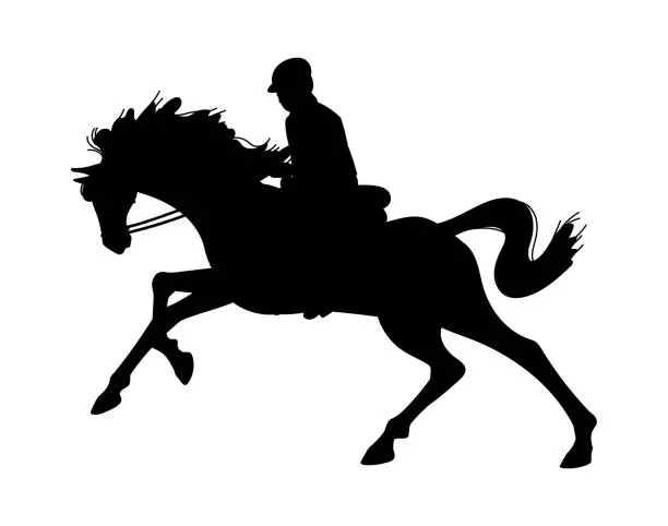 Vector illustration of Black silhouette of man on horseback flat style, vector illustration