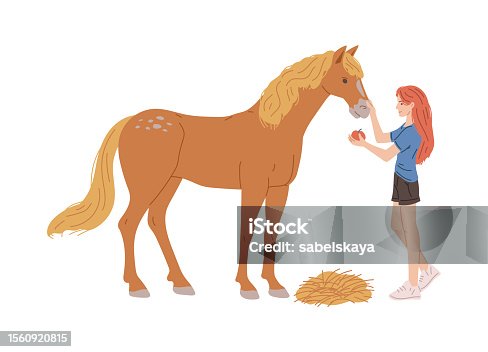 istock Woman feeding horse with apple, cartoon flat vector illustration isolated on white background. 1560920815
