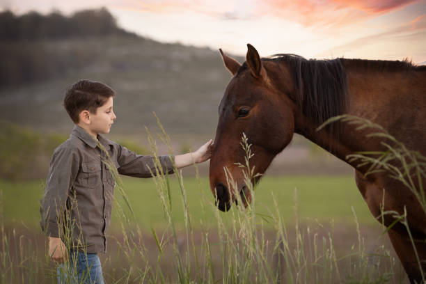 istock Portrait of a boy stroking horse's head 1560926018