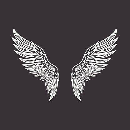 Vector Wings Icon. Vintage Angel Wings Icon, Design Template, Clipart. Cupid, Angel or Bird Wings. Vector illustration.