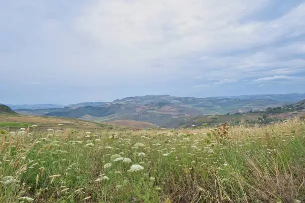 Photo of Landscape and vegetation in Sicily, southern Italy near Catania