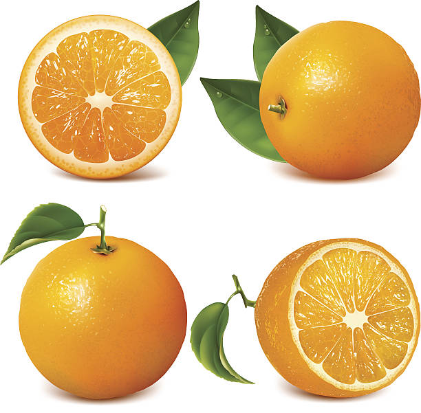 frische reife orangen mit blättern. - orange frucht stock-grafiken, -clipart, -cartoons und -symbole