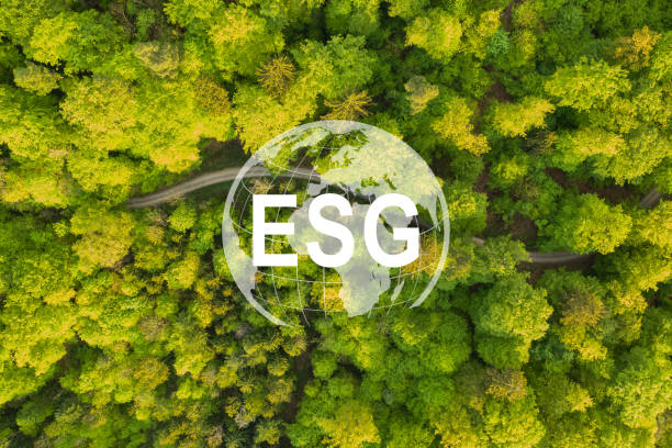 istock Net Zero 2050 Carbon Neutral and Net Zero Concept natural environment A climate-neutral long-term strategy greenhouse gas emissions targets A cloud of mist in the green Net Zero figure. 1561128560