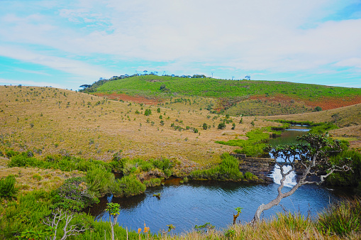 Beautiful Horton Plains Sri Lanka- Landscape photography