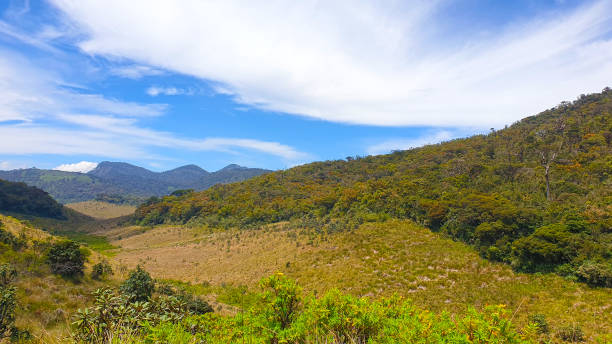 istock Horton Plains Sri Lanka 1561149407