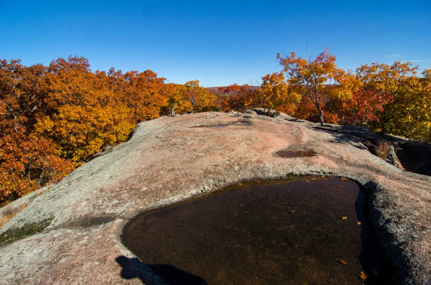 istock Elephant Rocks SP - Potholes in the Granite 1561161265