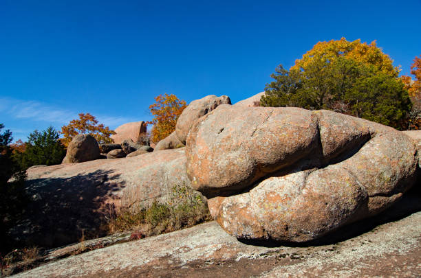 istock Elephant Rocks SP - Field of Boulders & Trees 1561165031