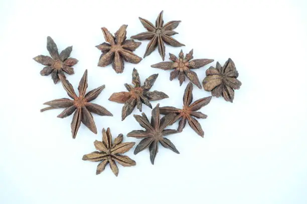 Star anise spice isolated on white background ,closeup view