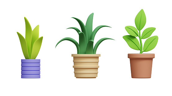 Collection of 3d realistic icon illustration potted plants for the interior. Isolated on white background. 3D illustration