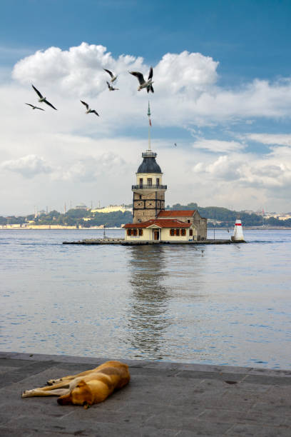 maidens tower en estambul, turquía - byzantine aya sofya light lighting equipment fotografías e imágenes de stock