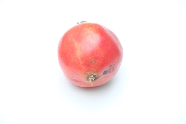 Pomegranate. Fresh raw fruit isolated on white background. With clipping path.