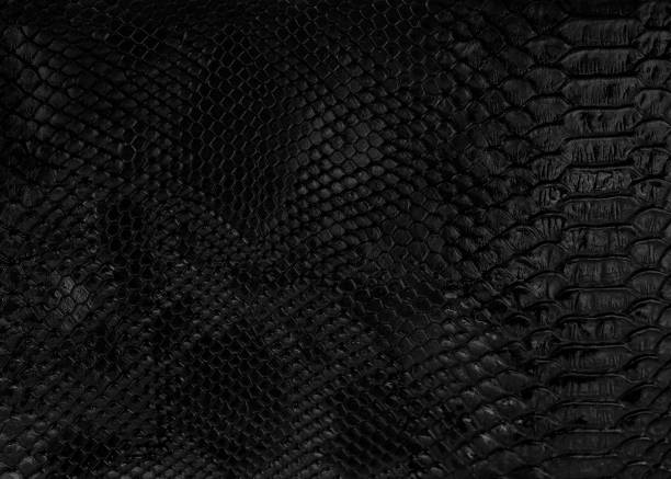 istock Natural crocodile skin background. 1561227702