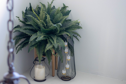 a composition of candles and a fern with a lamp chain in the foreground