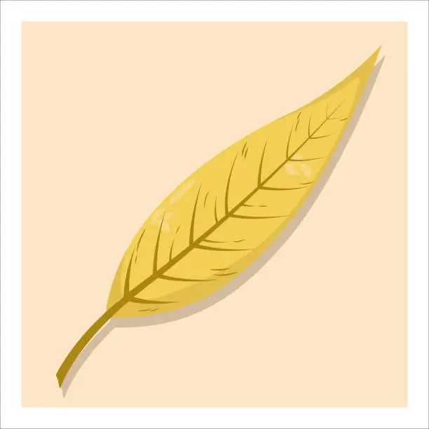 Vector illustration of Autumn leaf, isolated on yellow background. Colorful yellow orange  willow tree leaf.