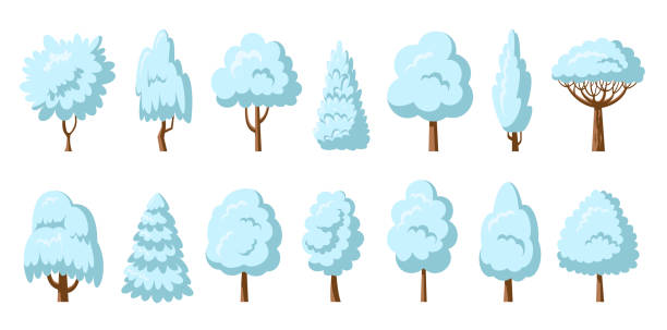 winterbäume-ikonen-set schneeweiße pflanzen seitenansicht - poplar tree aspen tree tree winter stock-grafiken, -clipart, -cartoons und -symbole