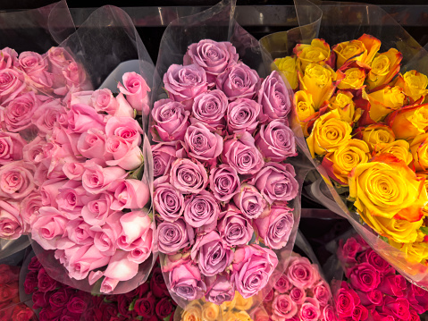 Rose bouquets in different colors in a flower shop